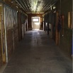 New Paddock