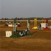 www.sanmarfriesians.com