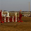 www.sanmarfriesians.com