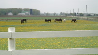 DSC00322.JPG