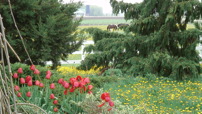 www.sanmarfriesians.com