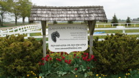 DSC00325.JPG