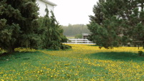www.sanmarfriesians.com