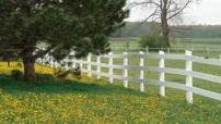 www.sanmarfriesians.com