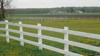 www.sanmarfriesians.com