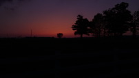 DSC01985