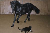Margje and Kitty