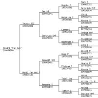PedigreeChart