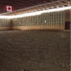 Indoor Arena