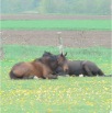 DSC00350.JPG