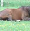 DSC00368.JPG