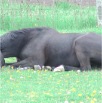 DSC00370.JPG
