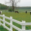 DSC00310.JPG