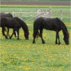 DSC00313.JPG
