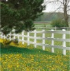 www.sanmarfriesians.com