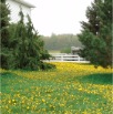 www.sanmarfriesians.com