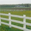 www.sanmarfriesians.com