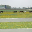 DSC00322.JPG