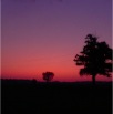 DSC01990