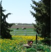 DSC01881