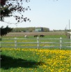 DSC01885