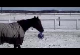 Godfrey has regressed to his childhood now that his serious racing days are over. 