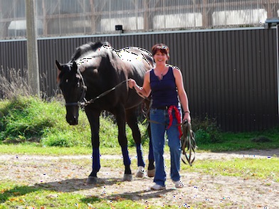 pictures at the barn_4196